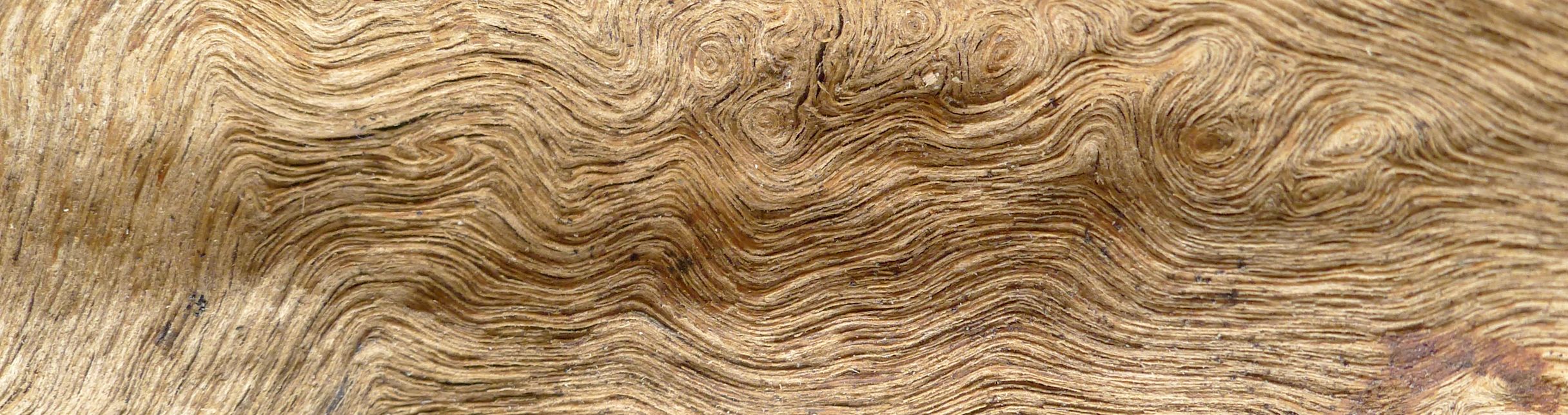 Header background image