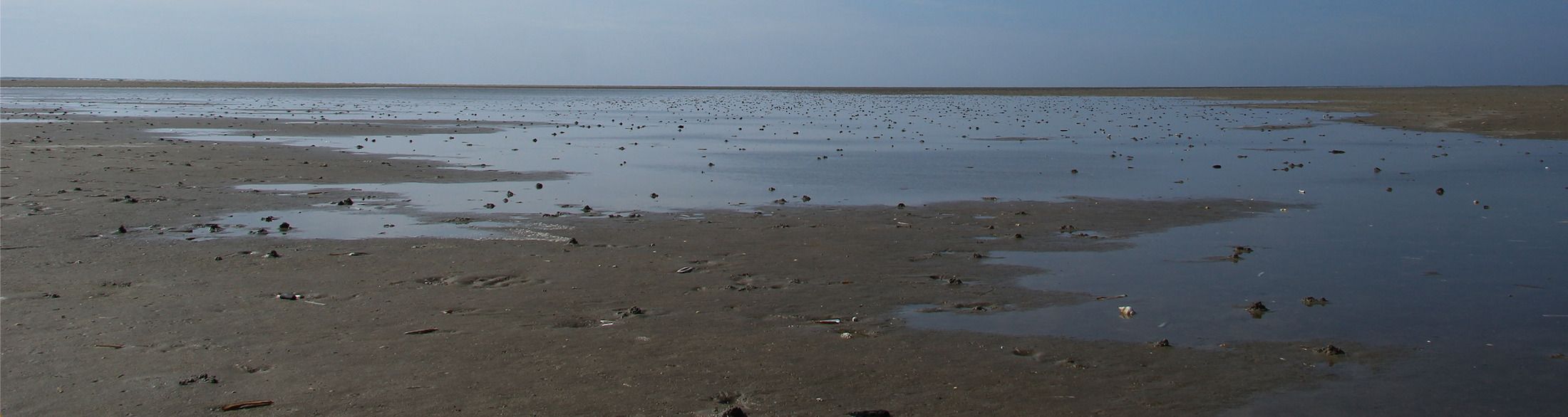 Header background image