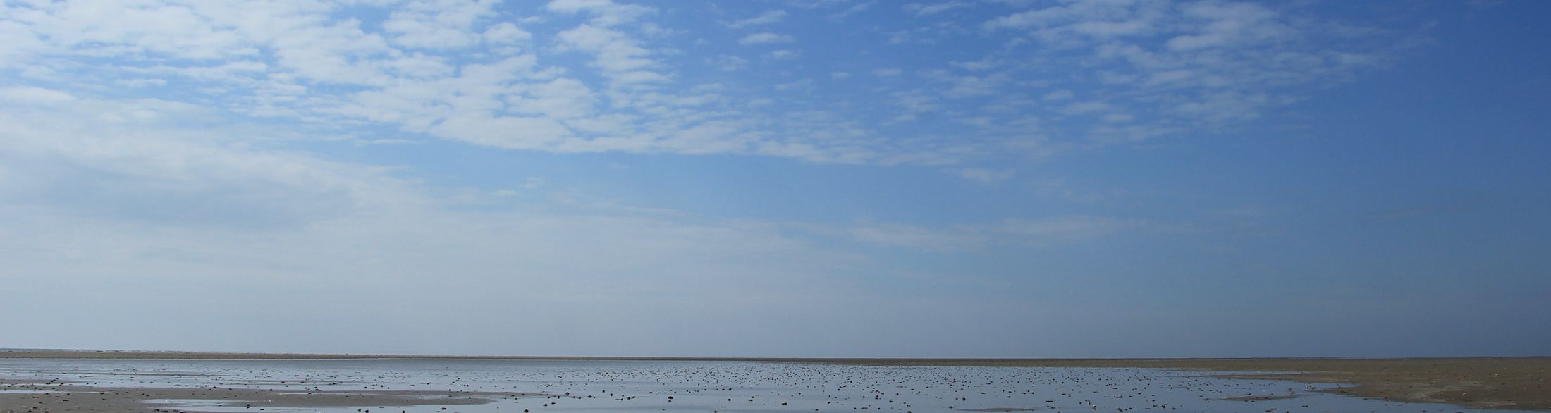 Header background image